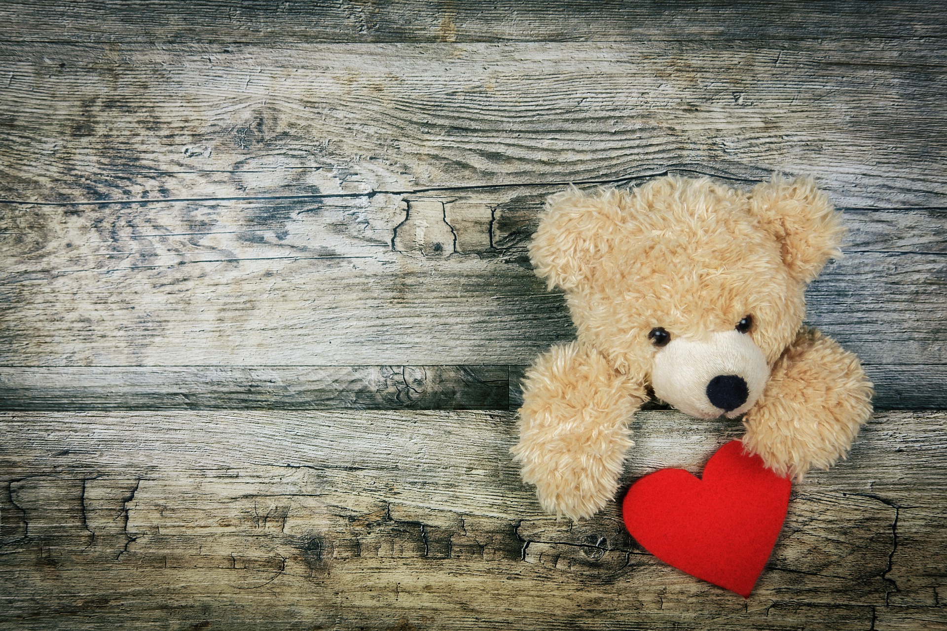 ourson avec coeur