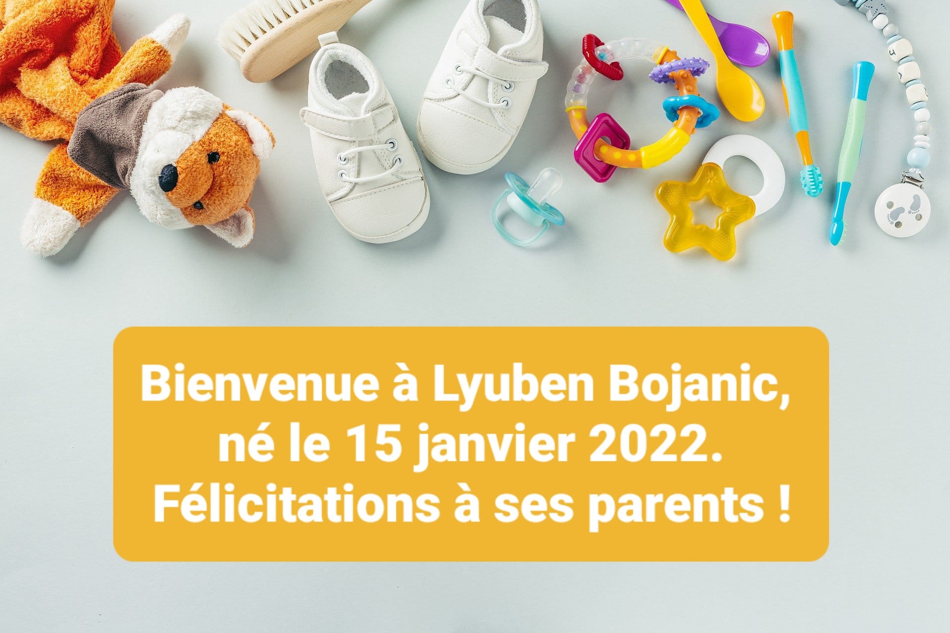 naissance Bojanic